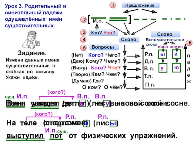 Урок 3. Родительный и винительный падежи одушевлённых имён существительных. 1