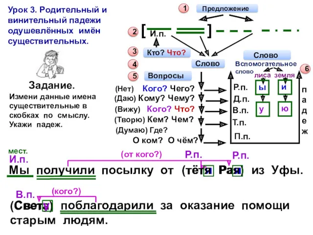 Урок 3. Родительный и винительный падежи одушевлённых имён существительных. 1