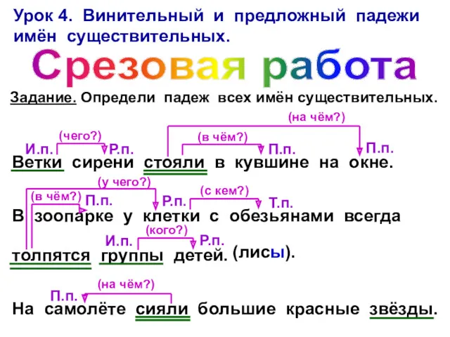 Урок 4. Винительный и предложный падежи имён существительных. Срезовая работа