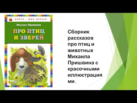 Сборник рассказов про птиц и животных Михаила Пришвина с красочными иллюстрациями.