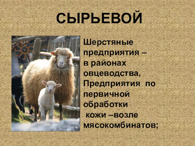 СЫРЬЕВОЙ Шерстяные предприятия – в районах овцеводства, Предприятия по первичной обработки кожи –возле мясокомбинатов;