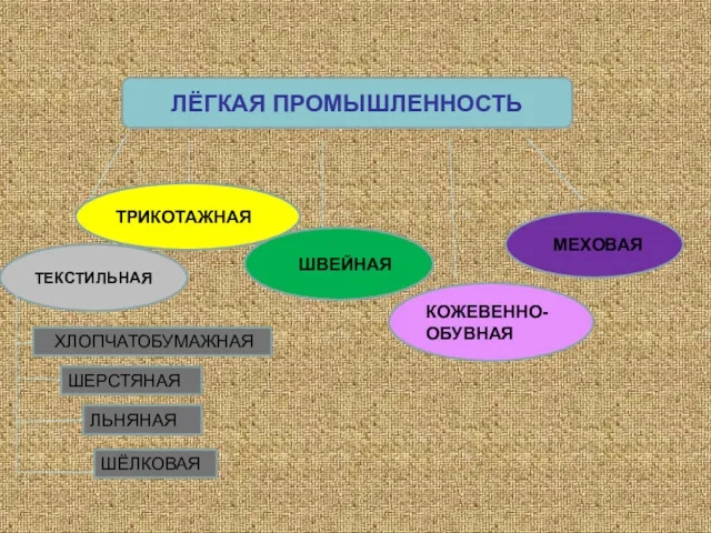 ЛЁГКАЯ ПРОМЫШЛЕННОСТЬ ТЕКСТИЛЬНАЯ ТРИКОТАЖНАЯ ШВЕЙНАЯ КОЖЕВЕННО-ОБУВНАЯ МЕХОВАЯ ХЛОПЧАТОБУМАЖНАЯ ШЕРСТЯНАЯ ЛЬНЯНАЯ ШЁЛКОВАЯ