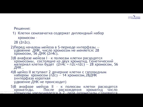 Решение: Клетки семязачатка содержат диплоидный набор хромосом – 28 (2n2c).