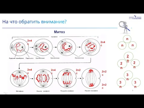 © АО «Издательство "Просвещение"», 2019 9 2n4c 2n4c 2n4c 2n4c