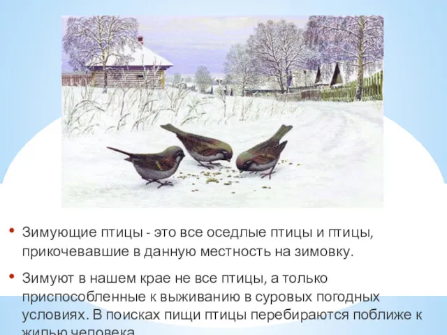 Зимующие птицы - это все оседлые птицы и птицы, прикочевавшие в данную местность