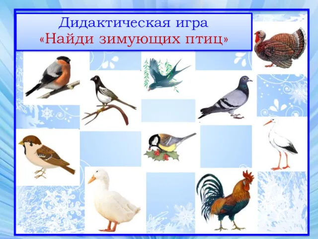 Дидактическая игра «Найди зимующих птиц»