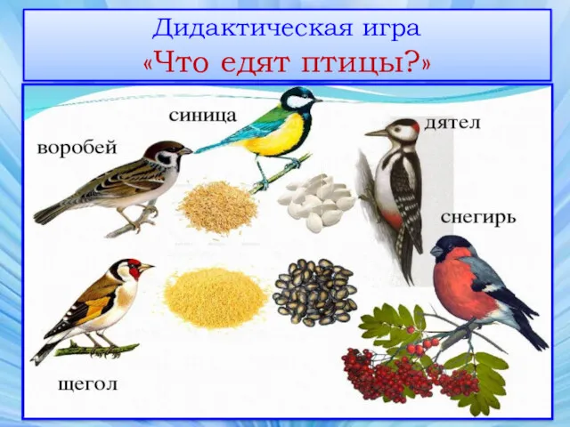 Дидактическая игра «Что едят птицы?»