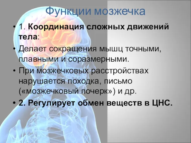 Функции мозжечка 1. Координация сложных движений тела: Делает сокращения мышц