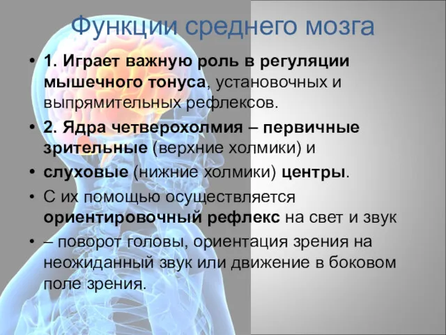 Функции среднего мозга 1. Играет важную роль в регуляции мышечного