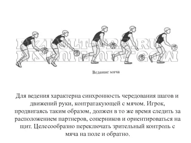 Для ведения характерна синхронность чередования шагов и движений руки, контратакующей с мячом. Игрок,