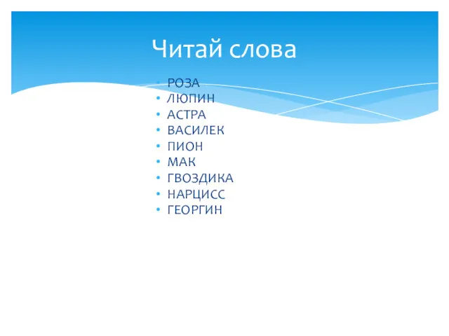 РОЗА ЛЮПИН АСТРА ВАСИЛЕК ПИОН МАК ГВОЗДИКА НАРЦИСС ГЕОРГИН Читай слова