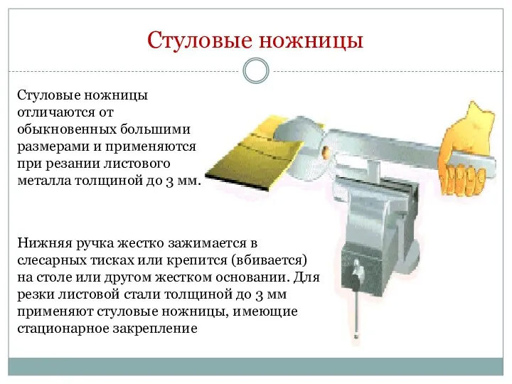 Стуловые ножницы Стуловые ножницы отличаются от обыкновенных большими размерами и