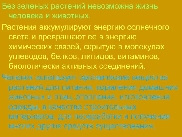 Без зеленых растений невозможна жизнь человека и животных. Растения аккумулируют энергию солнечного света