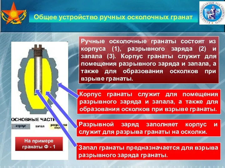 Общее устройство ручных осколочных гранат Ручные осколочные гранаты состоят из