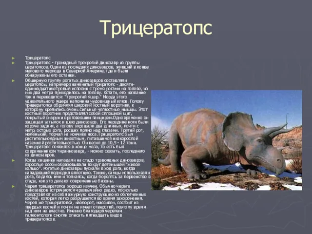 Трицератопс Трицератопс Трицератопс - громадный трехрогий динозавр из группы цератопсов. Один из последних