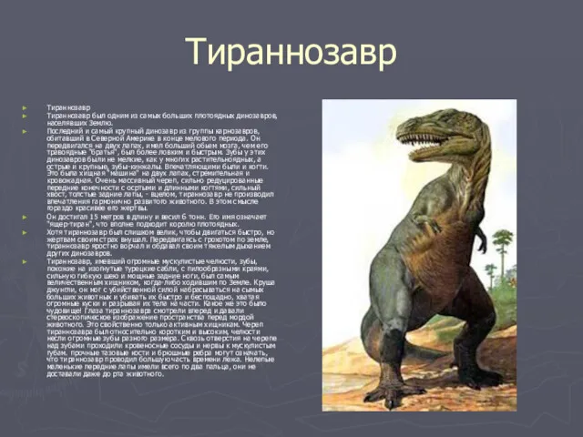 Тираннозавр Тираннозавр Тираннозавр был одним из самых больших плотоядных динозавров, населявших Землю. Последний