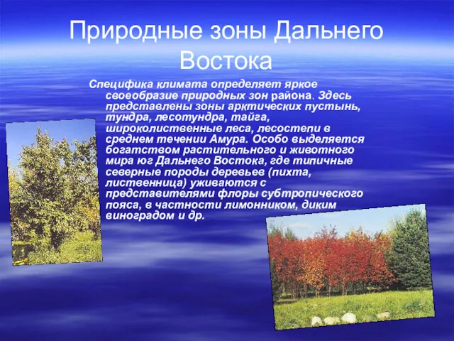 Природные зоны Дальнего Востока Специфика климата определяет яркое своеобразие природных