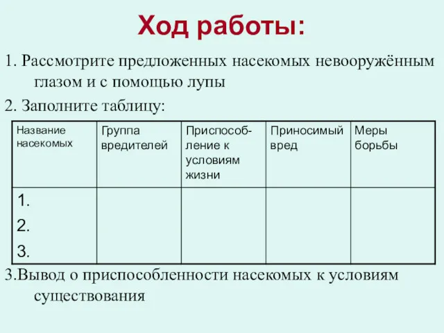 Ход работы: 1. Рассмотрите предложенных насекомых невооружённым глазом и с