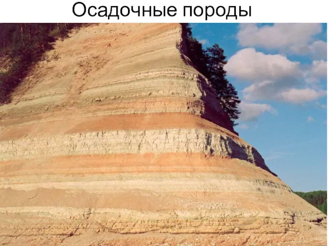 Осадочные породы