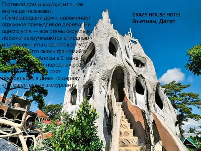 CRAZY HOUSE HOTEL Вьетнам, Далат Гостевой дом Hang Nga, или,