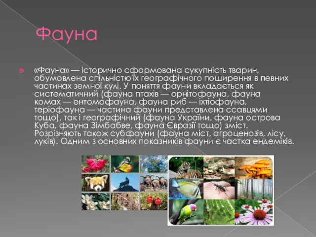 Фауна «Фауна» — історично сформована сукупність тварин, обумовлена спільністю їх географічного поширення в