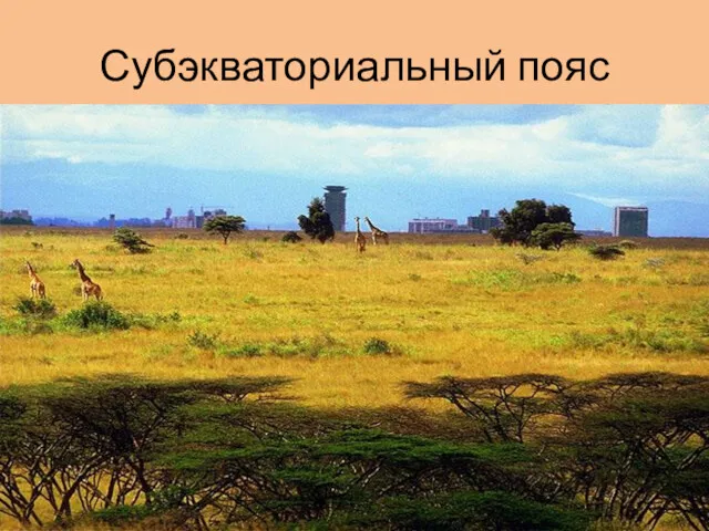 Субэкваториальный пояс