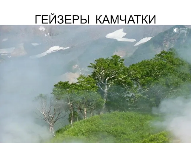 ГЕЙЗЕРЫ КАМЧАТКИ