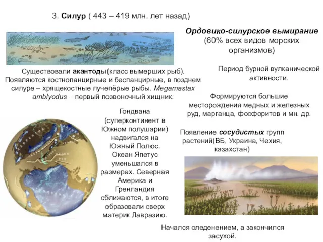 3. Силур ( 443 – 419 млн. лет назад) Ордовико-силурское вымирание(60% всех видов