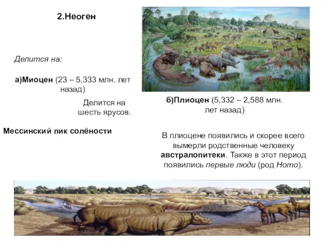 2.Неоген Делится на: а)Миоцен (23 – 5,333 млн. лет назад)