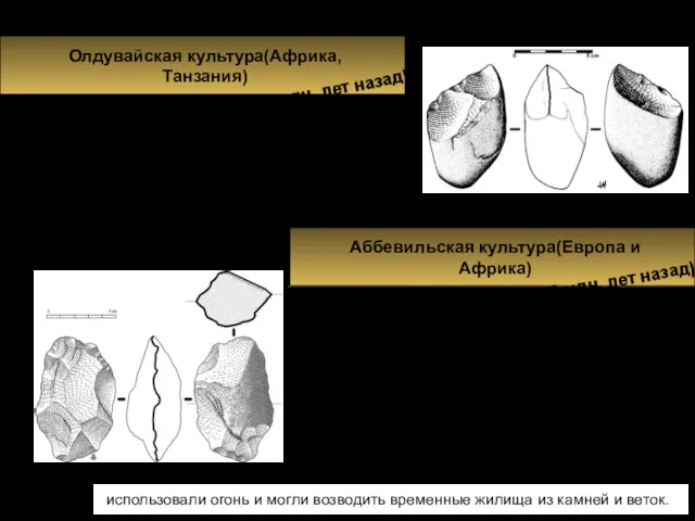 Homo habilis Олдувайская культура(Африка, Танзания) (2,7 – 1 млн. лет