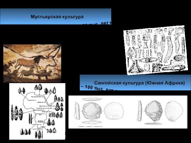 Мустьерская культура (300 – 30 тыс. лет назад) Поздние неандертальцы. Межледниковый период. Живут