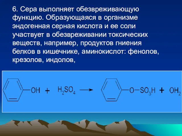 6. Сера выполняет обезвреживающую функцию. Образующаяся в организме эндогенная серная