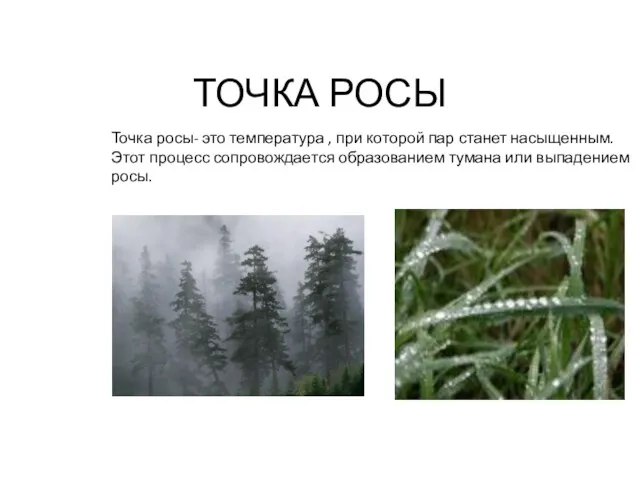 ТОЧКА РОСЫ Точка росы- это температура , при которой пар