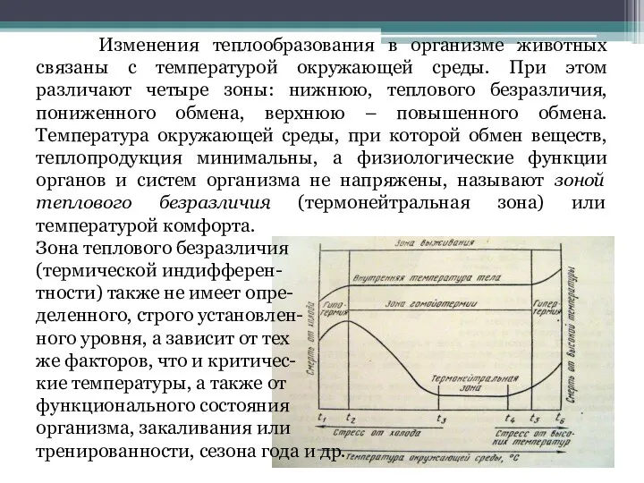 Изменения теплообразования в организме животных связаны с температурой окружающей среды.