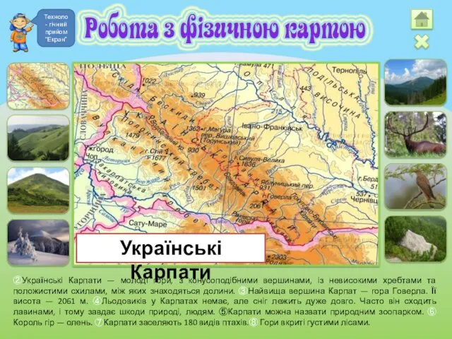②Українські Карпати — молоді гори, з конусоподібними вершинами, із невисокими