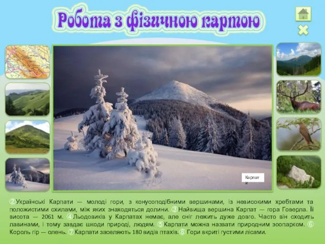 ②Українські Карпати — молоді гори, з конусоподібними вершинами, із невисокими хребтами та положистими