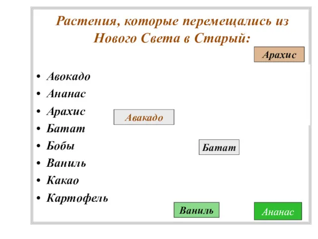 Авокадо Ананас Арахис Батат Бобы Ваниль Какао Картофель Растения, которые