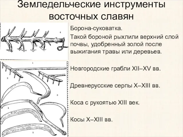 Земледельческие инструменты восточных славян Борона-суковатка. Такой бороной рыхлили верхний слой