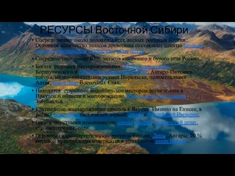 РЕСУРСЫ Восточной Сибири Сосредоточено около половины всех лесных ресурсов России.
