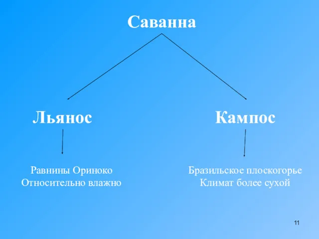 Саванна Льянос Кампос Равнины Ориноко Относительно влажно Бразильское плоскогорье Климат более сухой