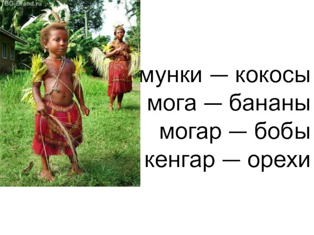 мунки — кокосы мога — бананы могар — бобы кенгар — орехи