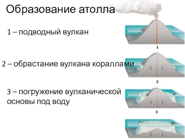 1 – подводный вулкан 2 – обрастание вулкана кораллами 3