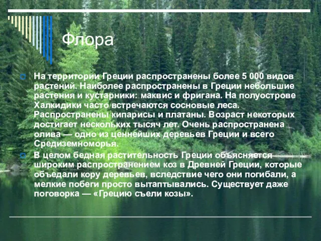 Флора На территории Греции распространены более 5 000 видов растений.