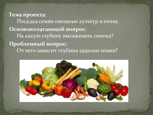 Тема проекта: Посадка семян овощных культур в почву. Основополагающий вопрос: На какую глубину