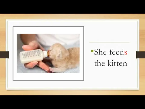 She feeds the kitten