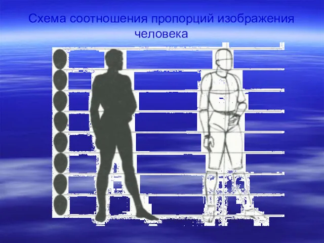 Схема соотношения пропорций изображения человека