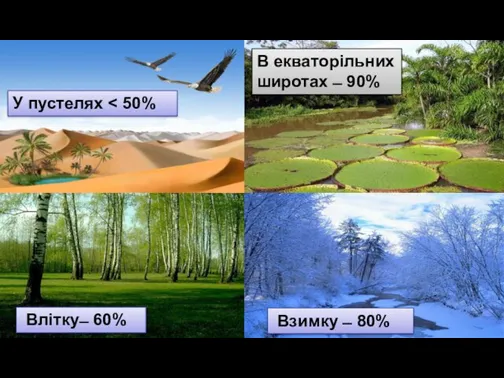 У помірних широтах вологість змінюється за сезонами У різних широтах