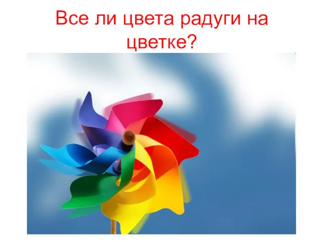 Все ли цвета радуги на цветке?