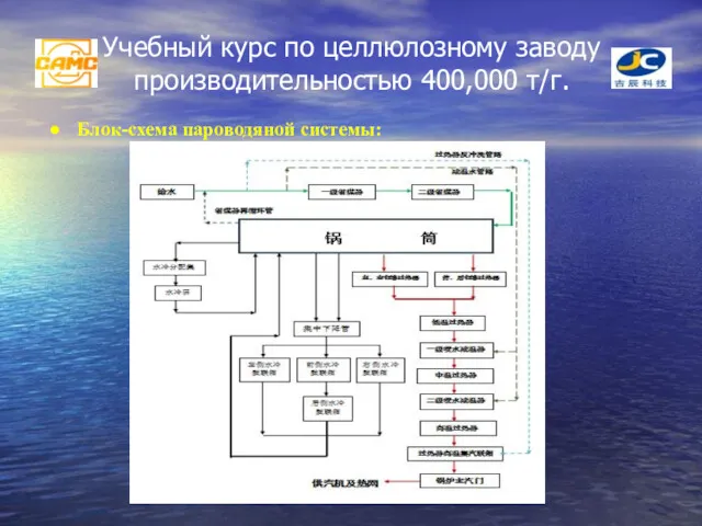 Учебный курс по целлюлозному заводу производительностью 400,000 т/г. Блок-схема пароводяной системы: