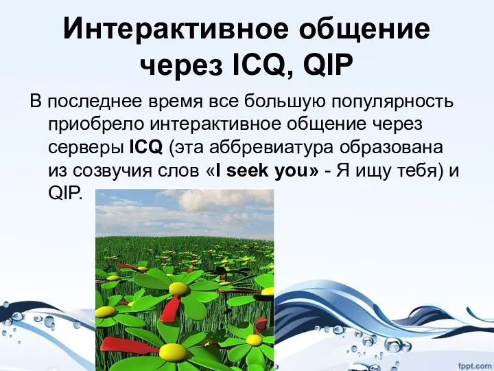 Интерактивное общение через ICQ, QIP В последнее время все большую